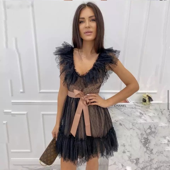 Pink Blush Ruffle Tulle Elegant Pleated Dress - Picture 9 of 16